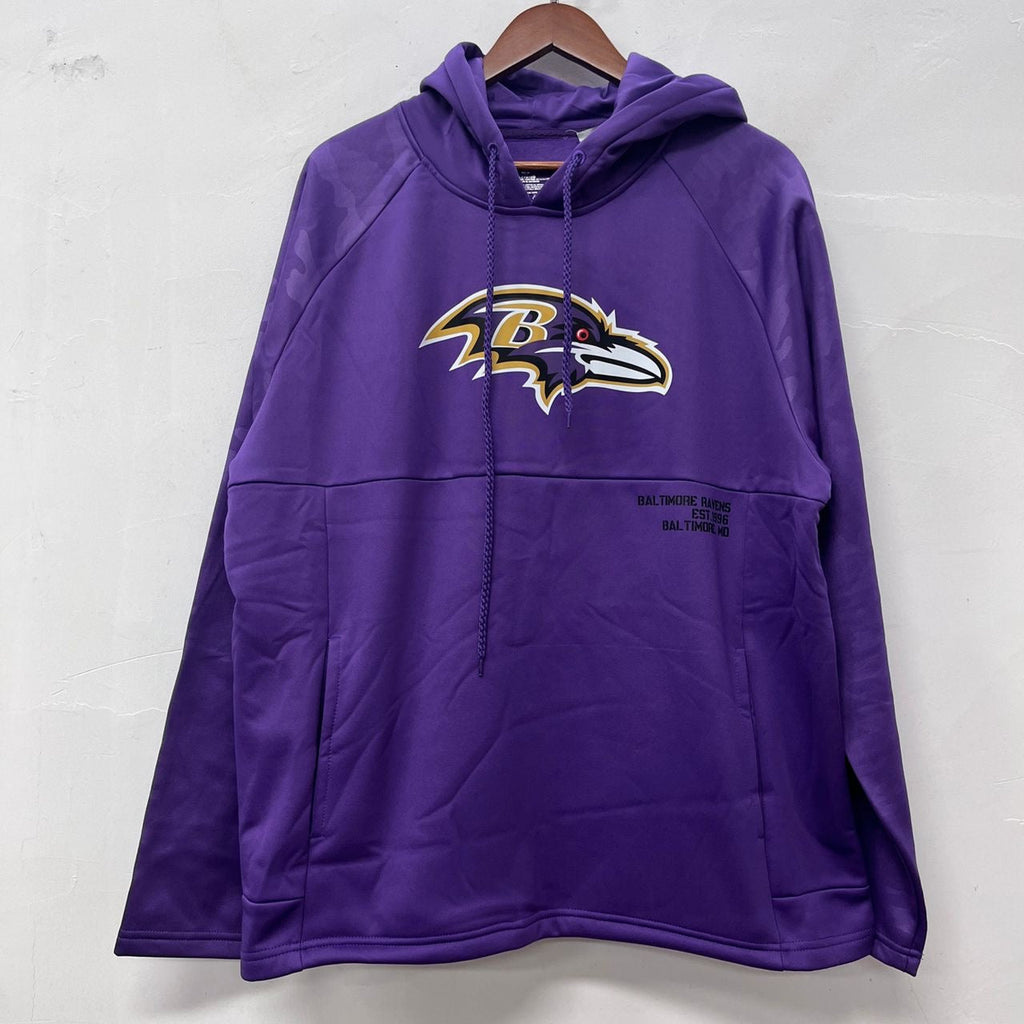 Baltimore Ravens Team logo hoodie product image 1